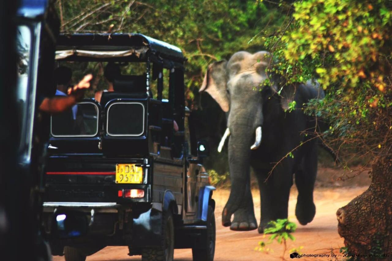 Yala Leopard Mobile Camp Hotel ภายนอก รูปภาพ